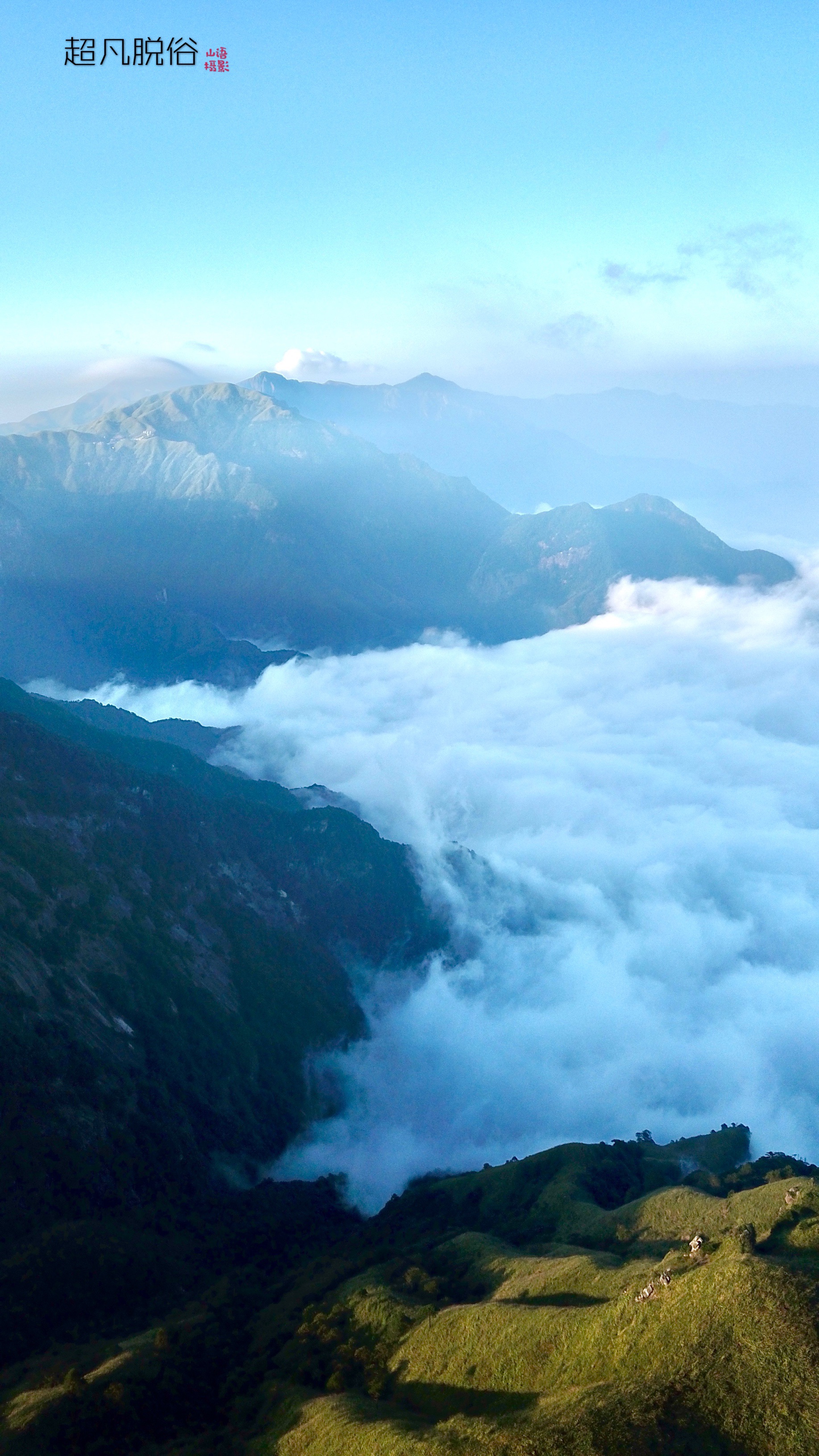 谭家坊药材山