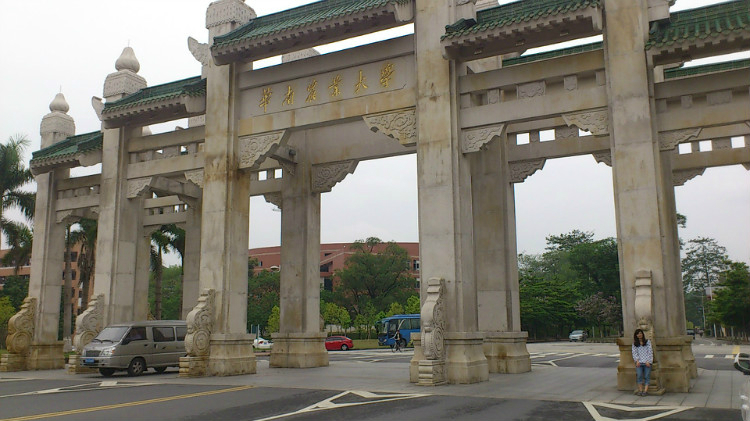 回复游记:华农紫荆花