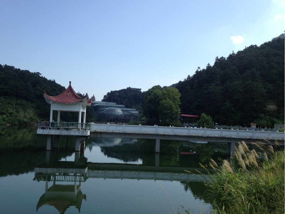 麻城龜峰山,麻城旅遊攻略 - 馬蜂窩