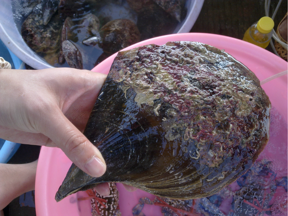 在涠洲岛的另类新颖玩法,涠洲岛旅游攻略 - 马蜂窝