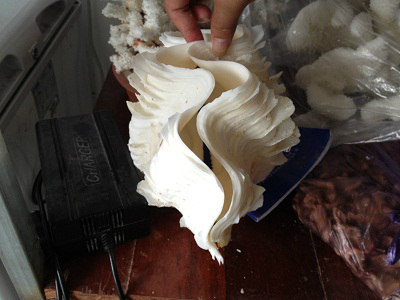 朱家尖特产导航