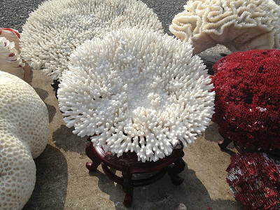 朱家尖特产导航