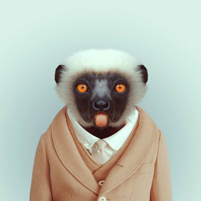 巴塞罗那摄影师yagopartal的动物园肖像