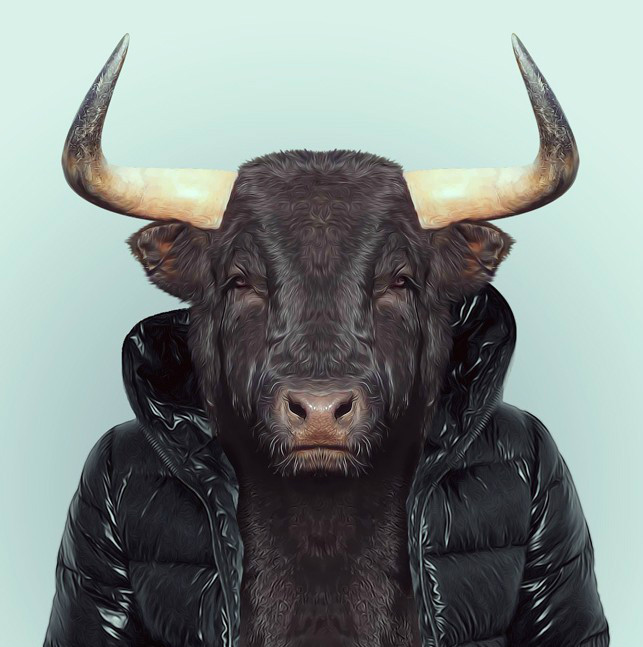 巴塞罗那摄影师yagopartal的动物园肖像