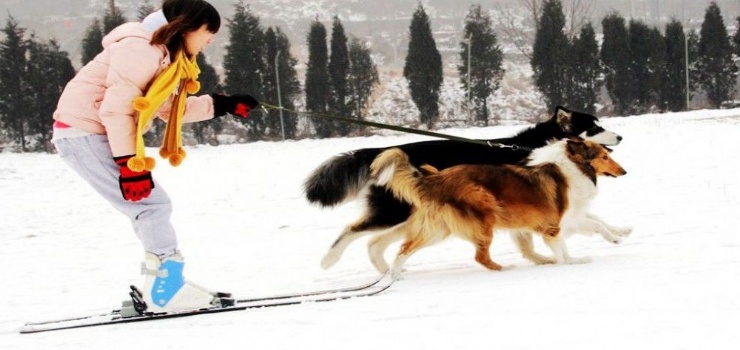 南高基滑雪场