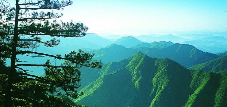 临安神龙川风景区