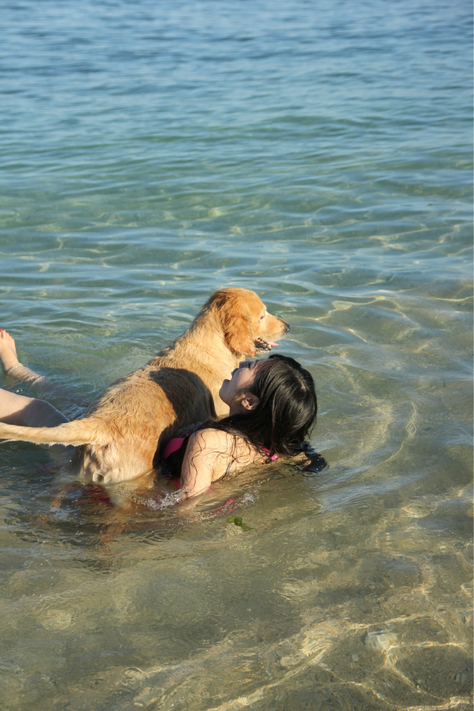 下午回来后,潜水店真的超热情,知道我想去拍照,还特意带我去星沙湾