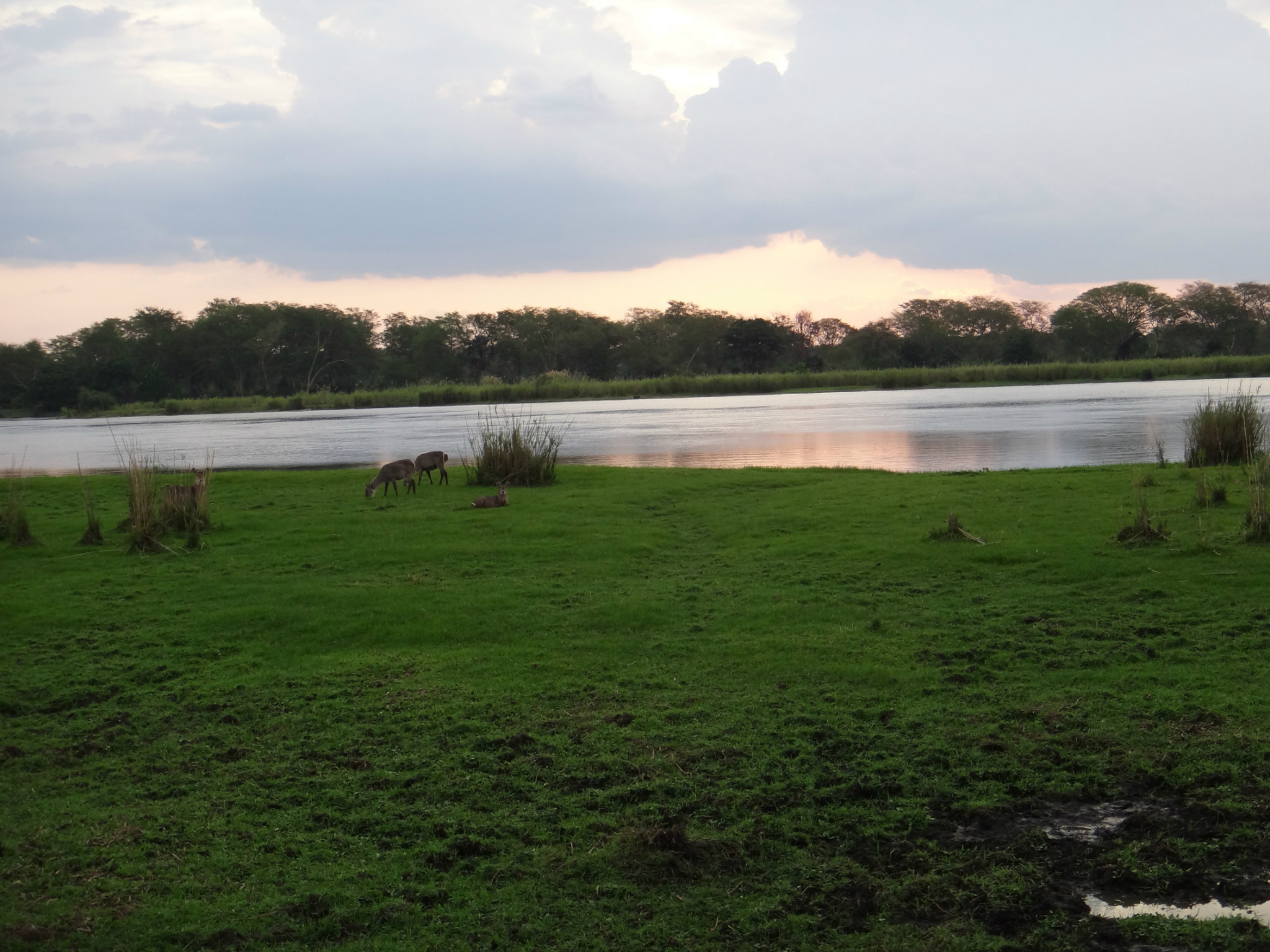 Liwonde National Park