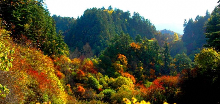 首阳山景区