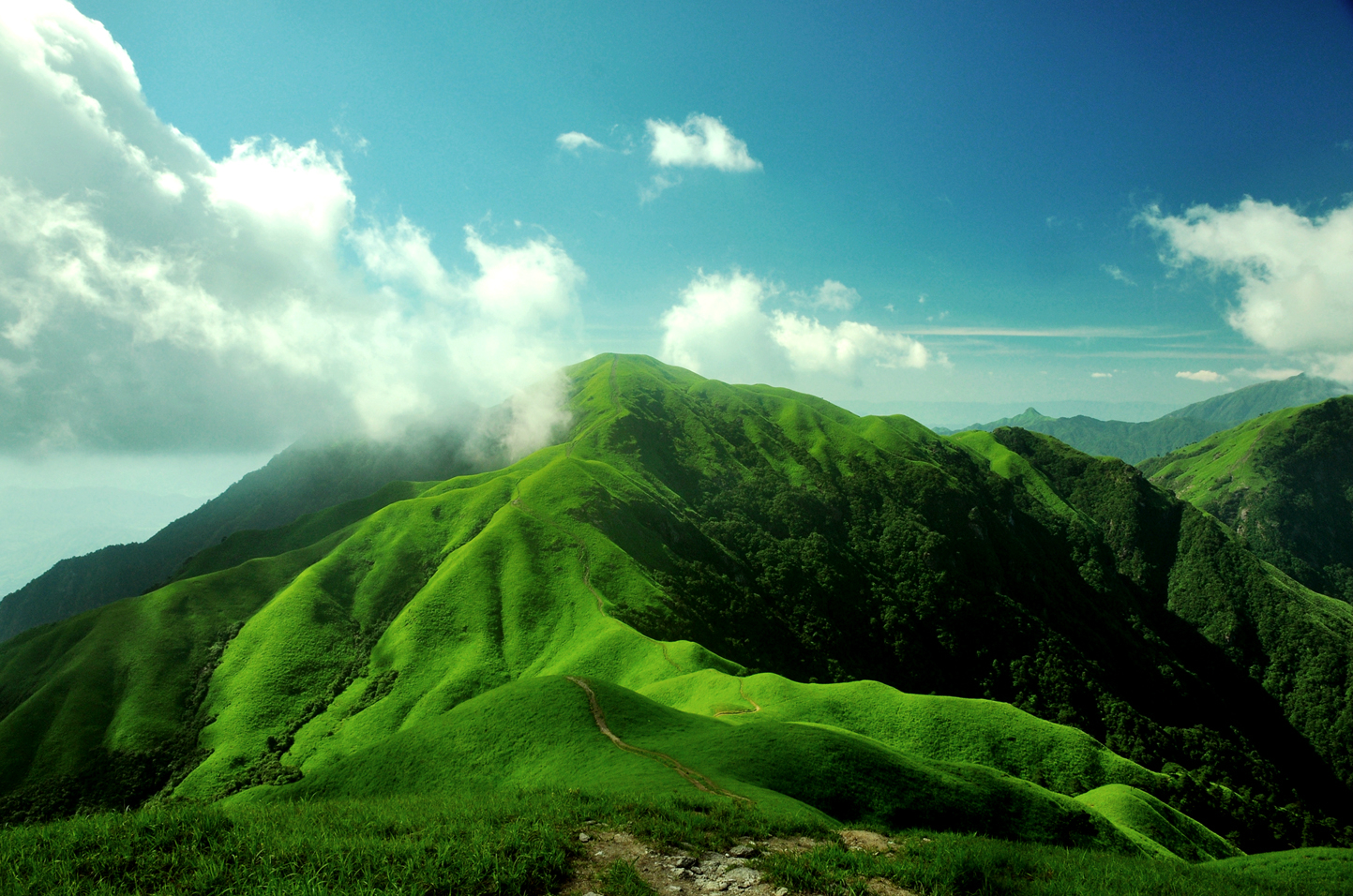 中国最美的三大高山草甸：户外露营好去处 