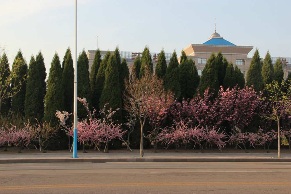崖头镇的东面是荣成的新城区,海,湖,河汇集.