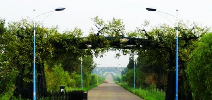 莫莫格国家级自然保护区