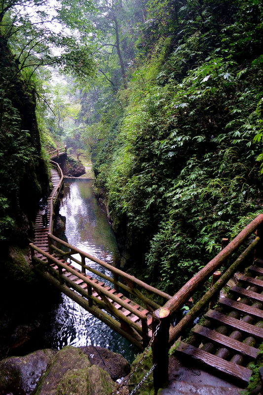 古寺泰安镇中古戏台泰安古镇是登青城后山的必经之地雨雾中的后山山门