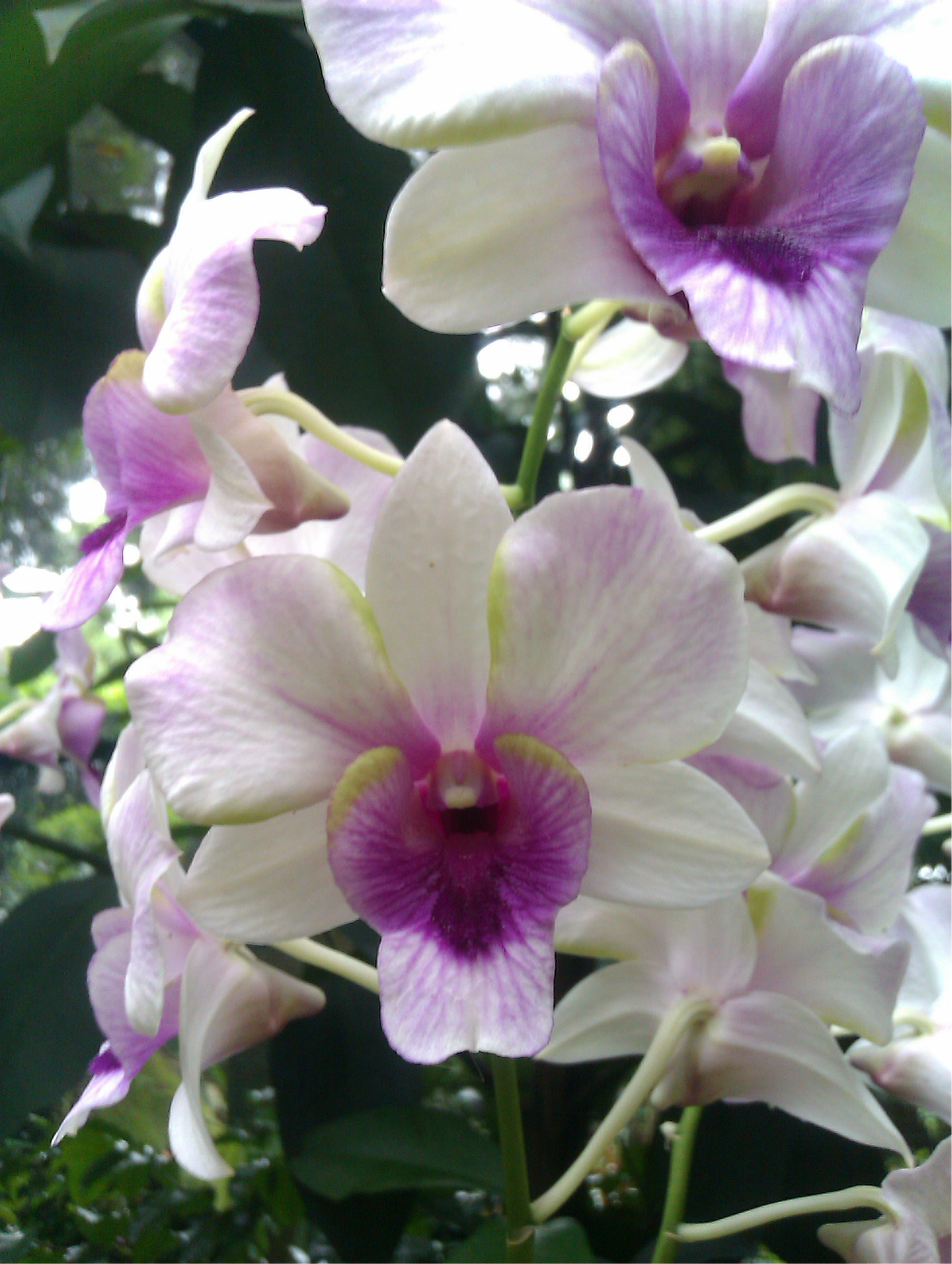 新加坡旅游攻略 - 马蜂窝