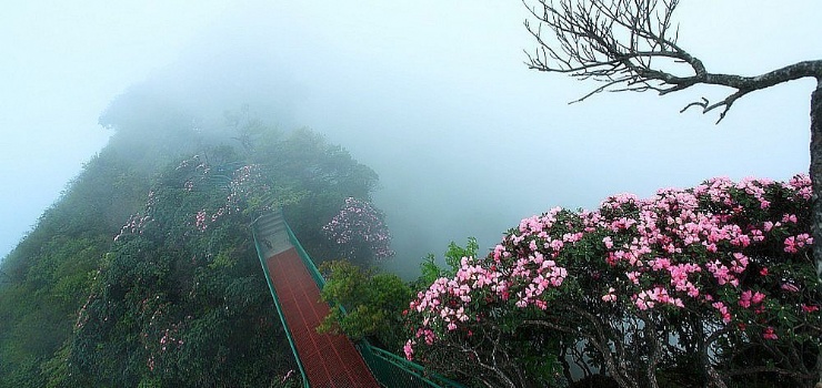 光雾山桃园景区