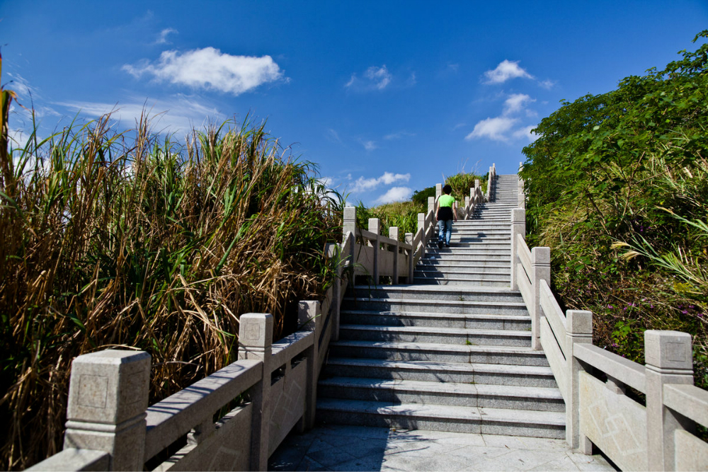 小洋山隧道,景區左面是在高速路的西面.