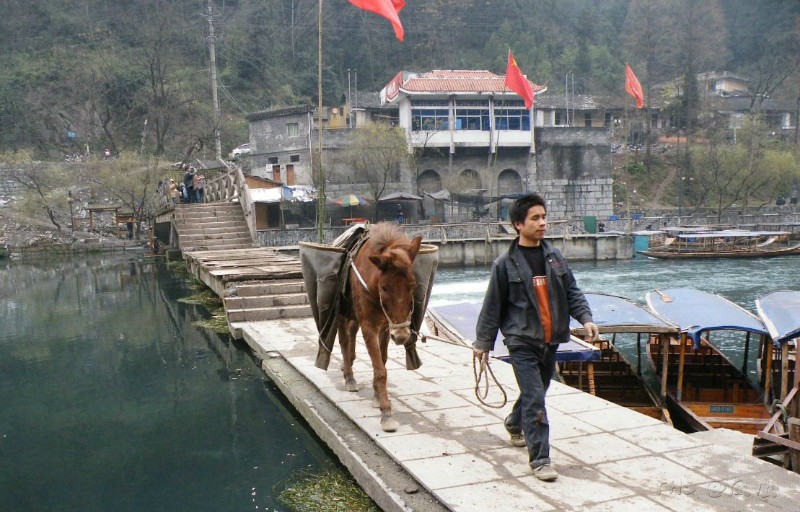 吃過早餐,徑直走去了沱江下游聽濤山半腰的沈從文先生墓地