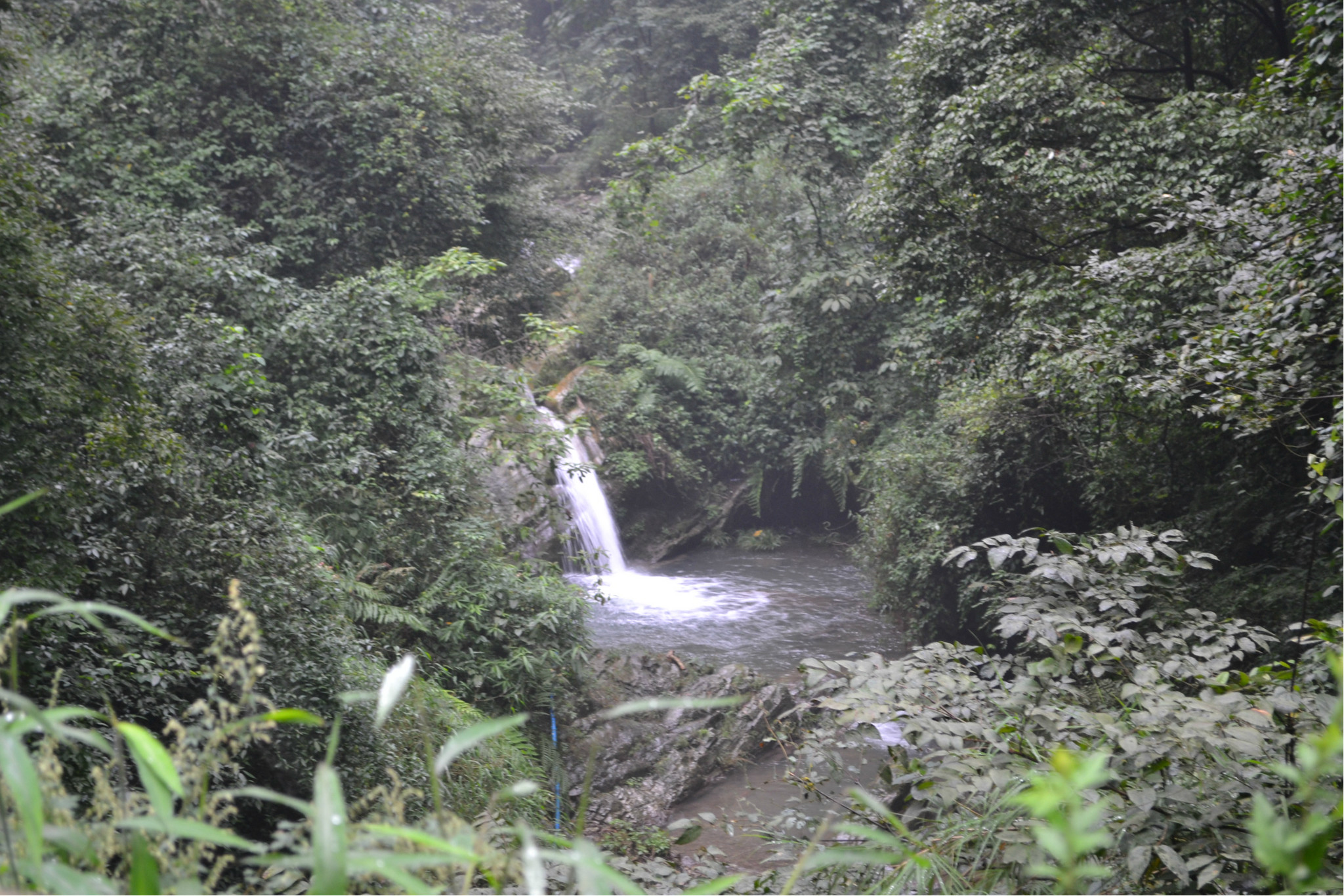 成都-吃貨的天堂(附帶峨眉山),成都自助遊攻略 - 馬蜂窩