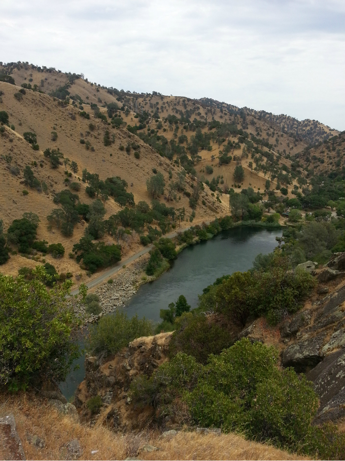 三入美国之napavalley和squawvalley山顶的超小野花