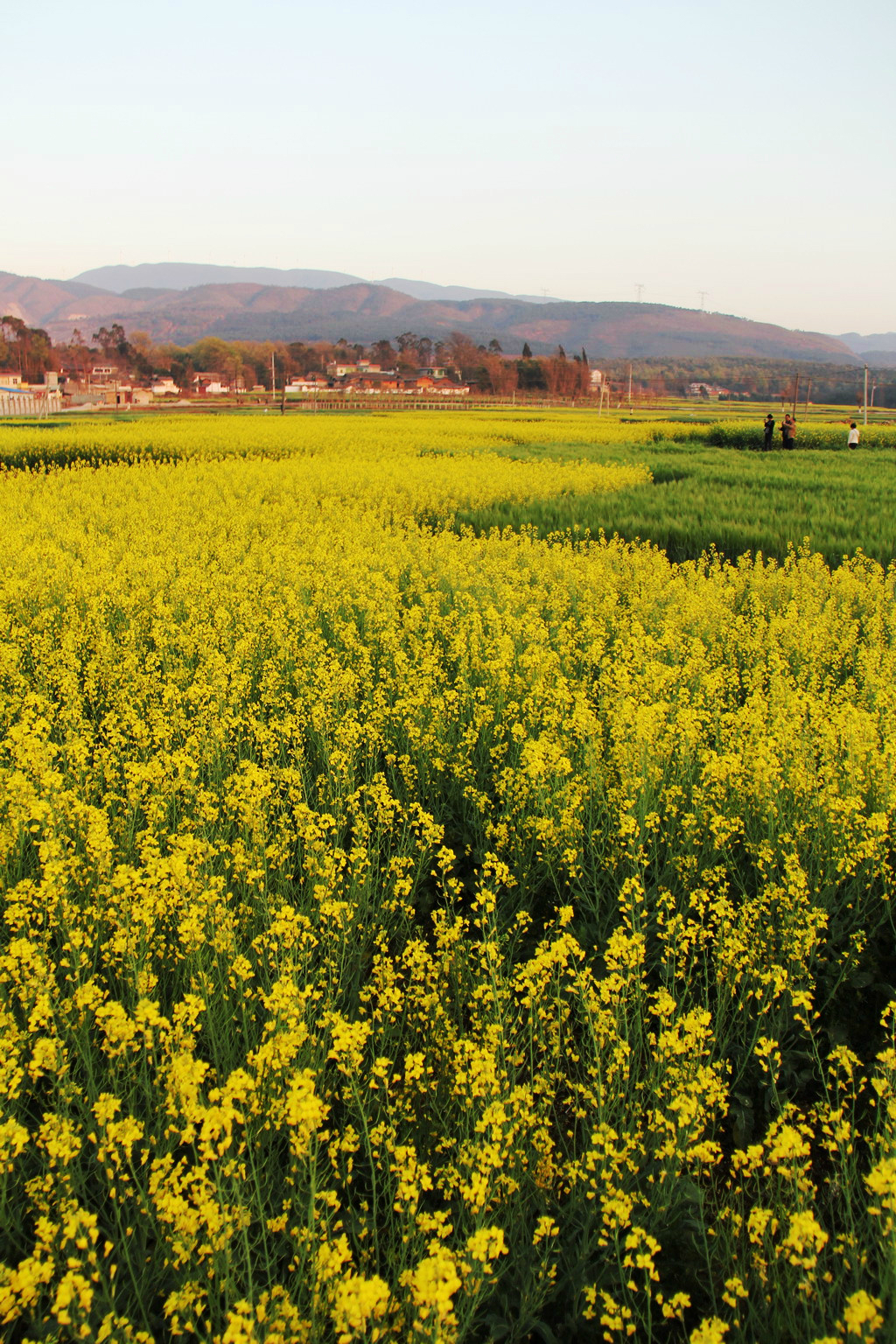 罗茨泡汤云南楚雄禄丰昆明出发