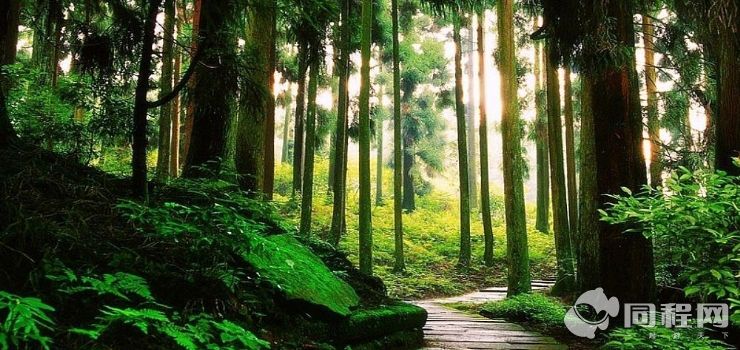 青城山—都江堰风景区