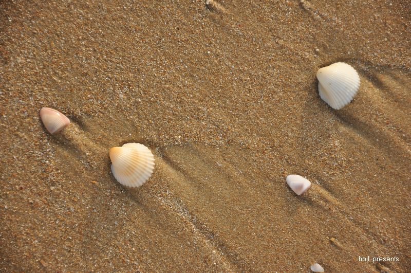 天涯海角,也不过是两块忙碌的石头.