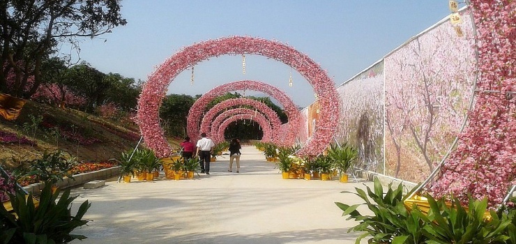 富丽湾桃花岛