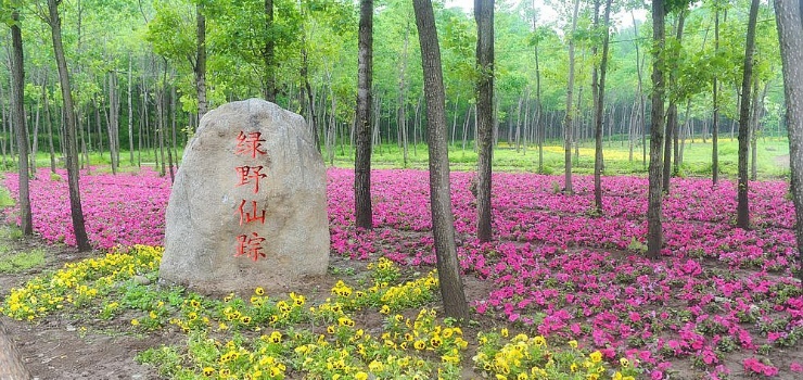 绿野仙踪生态庄园