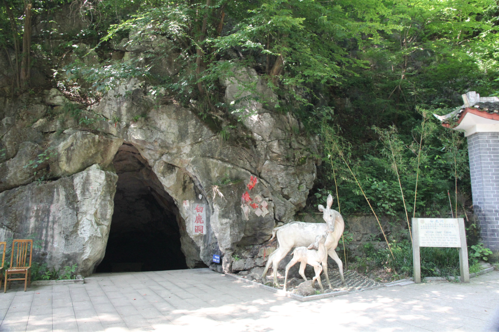 郴州蘇仙嶺及北湖公園遊記