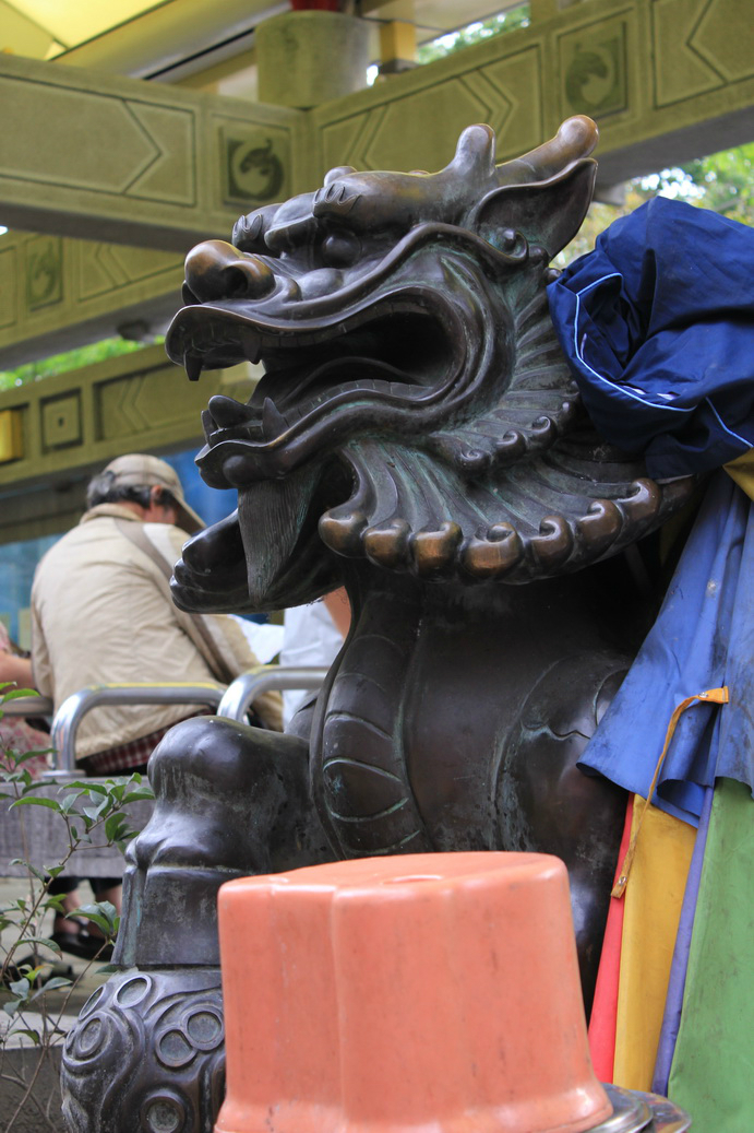 在艋舺公园,我没有将镜头对向人,但那另我非常好奇的感觉却还在心里.