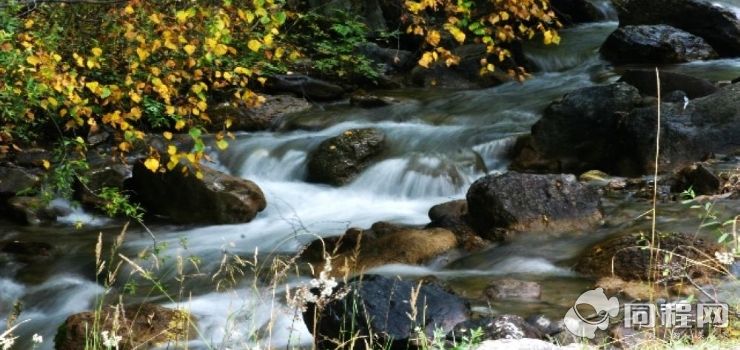 互助北山国家森林公园元甫沟景区 互助北山国家森林公园元甫沟景区