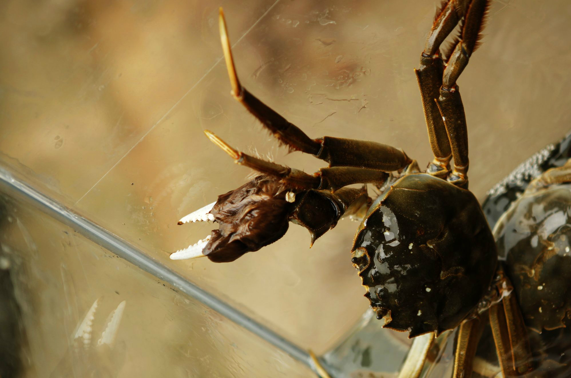 【鄂州图片】游鄂州梁子岛