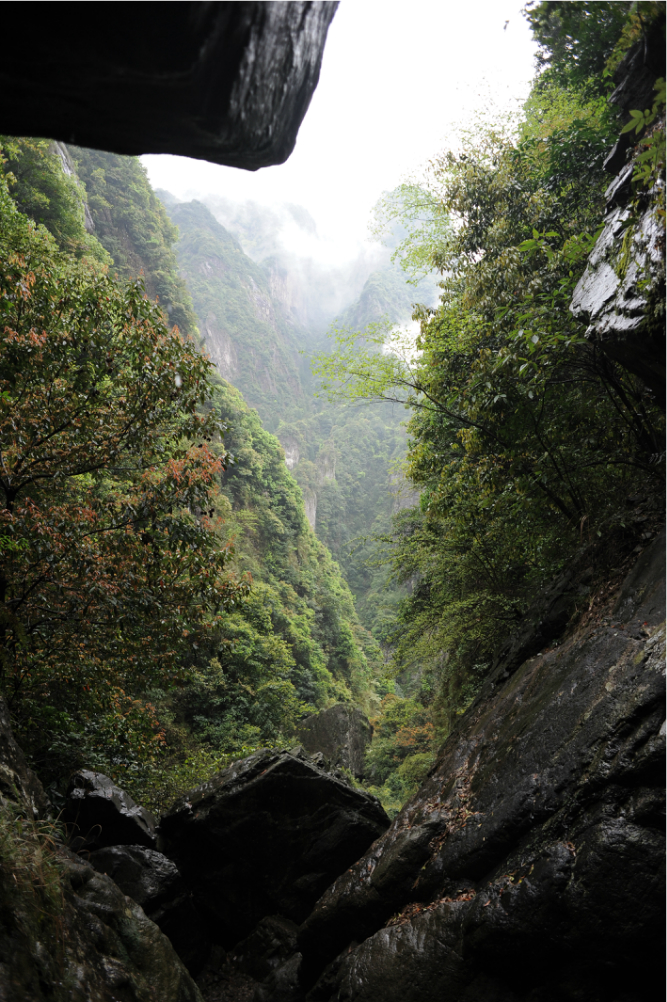 绝情谷-迷魂沟-凌云尖-百岗尖(雁荡山) 这篇游记豪迈地提到了