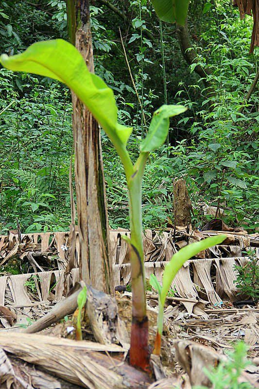 莆田西天尾石盘水库半日游