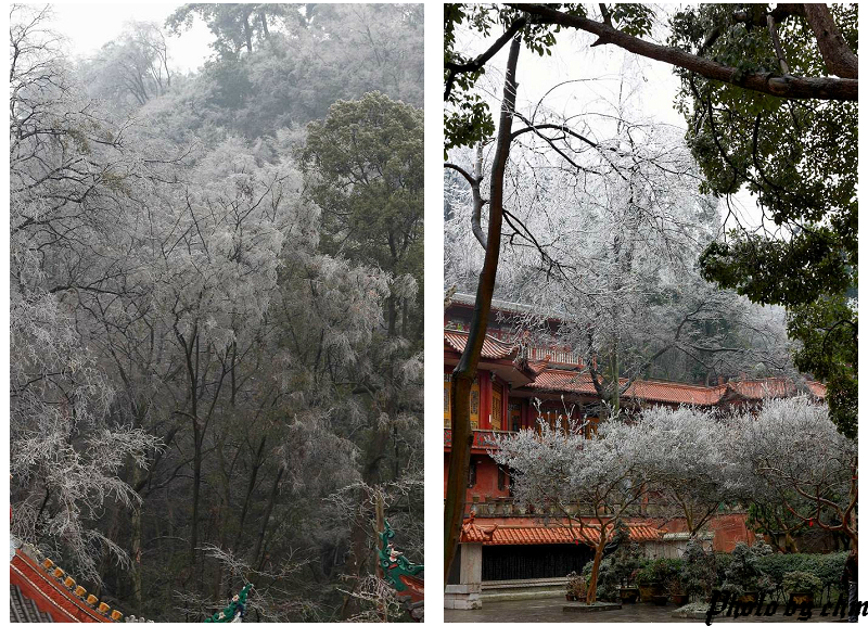 弘福寺弘福寺建于清康熙11年(1672年),由赤松和尚创立,为临济一系,禅