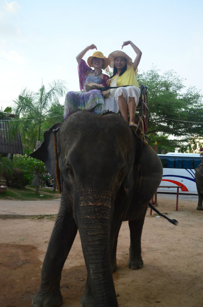 吃到直打嗝,想到我家的土豆豆,它也是只爱吃榴莲的怪狗狗爱情果菠萝