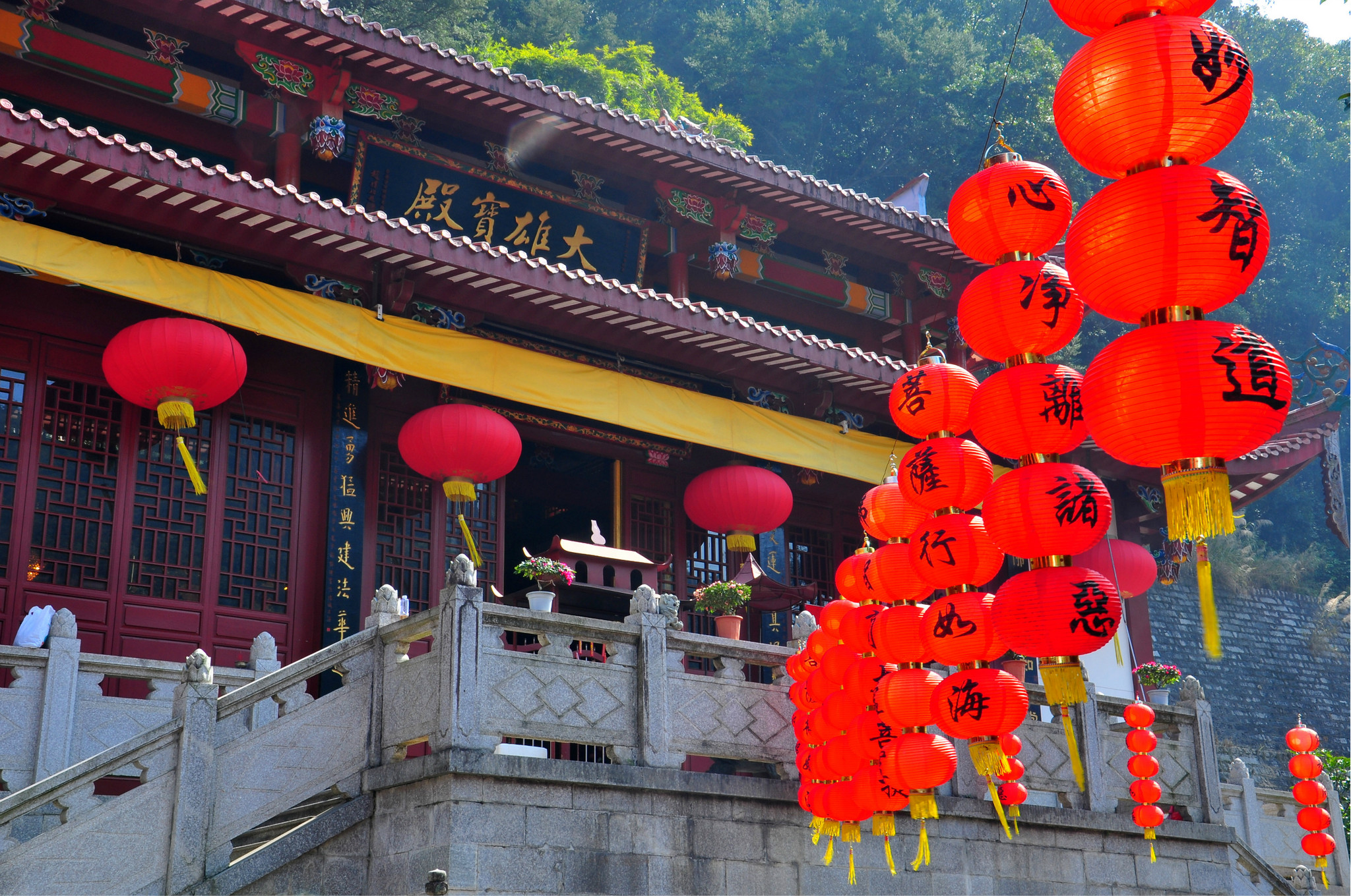 福州国家森林公园正心寺中一株桃花开得正艳福州国家森林公园桃花园里