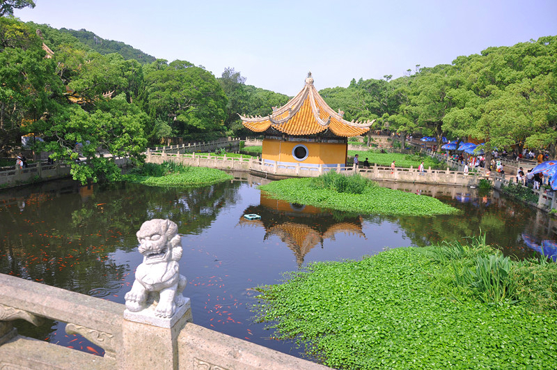 普陀山纯玩3日游(含往返车位 2晚岛内农家住宿)