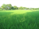 葫芦湾风景区