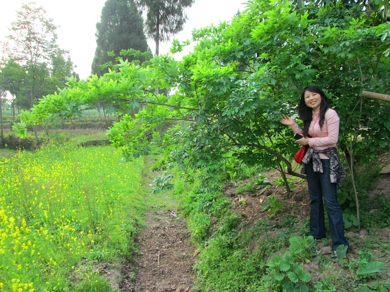 南充外婆老家行