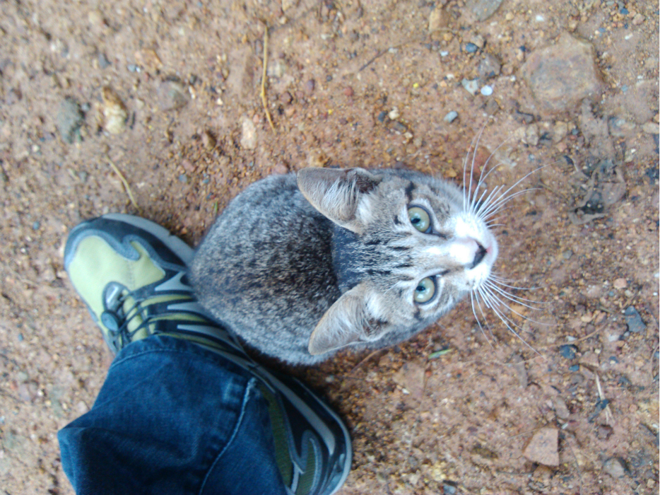 南宁  )旅途要点:大叻  有机场(姜莲国际机场)可以直飞河内  西贡