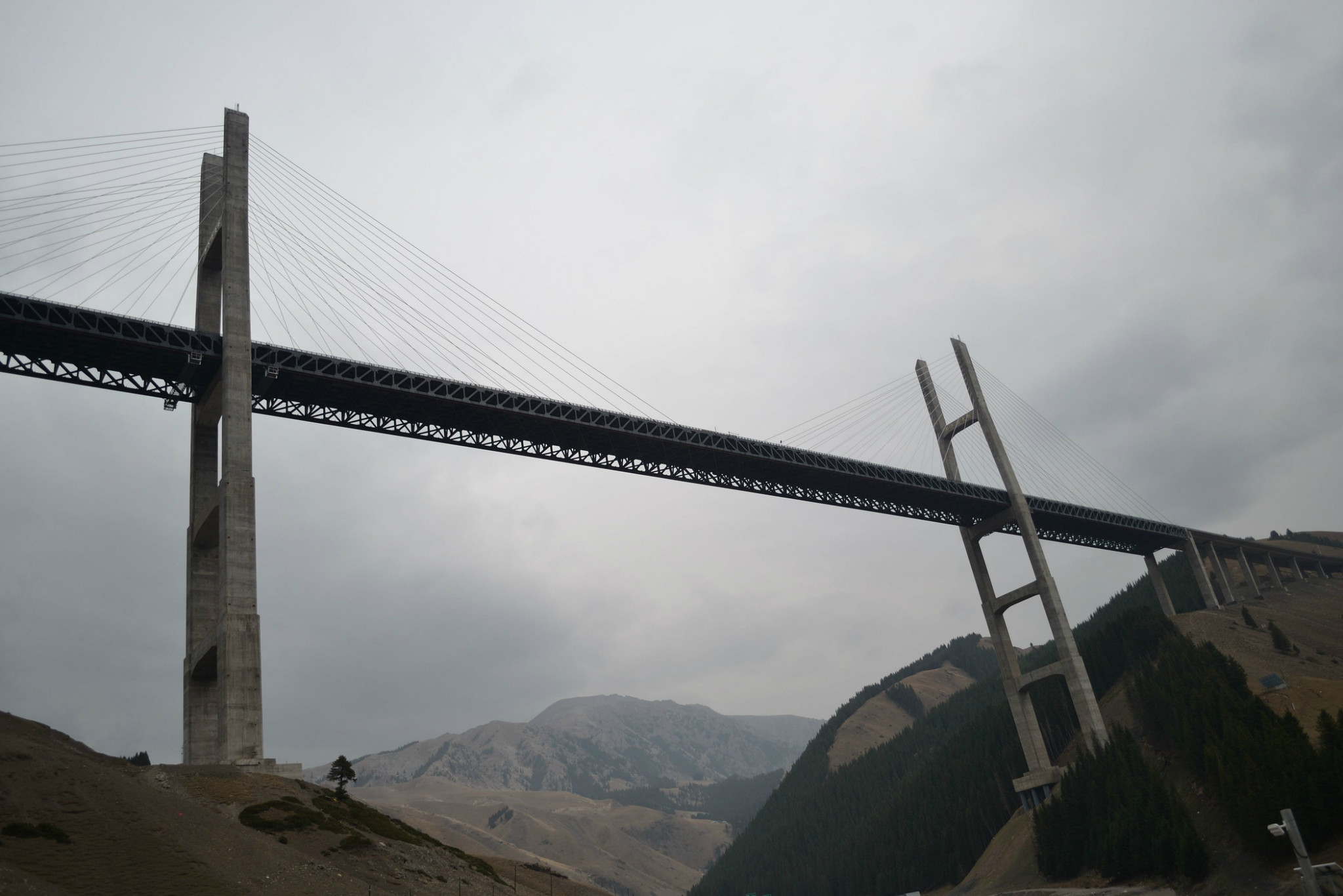 克拉玛依大龙池小龙池巴音布鲁克轮台胡杨林库车王府库车大寺全程历时