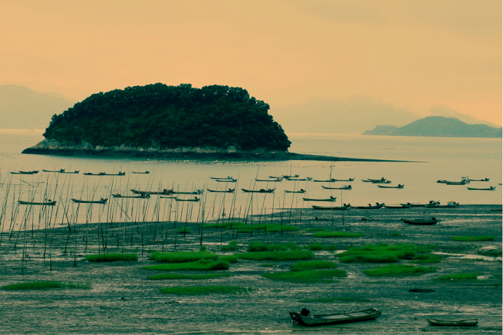 福建霞浦沙江镇