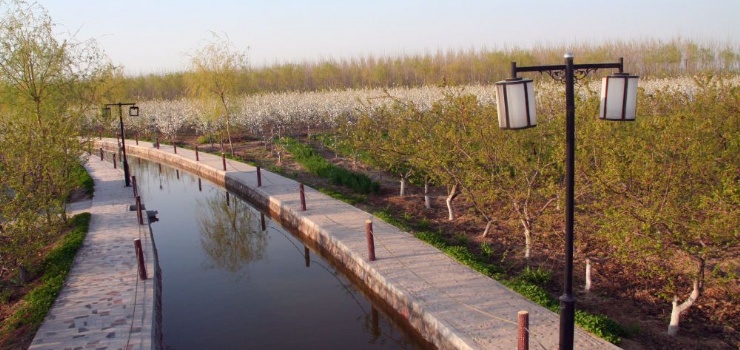 14张图片龙泉苑景区占地面积1500亩,地下水资源丰富,环境条件优越