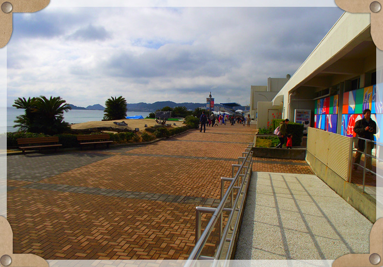 日本千叶县鸭川海洋世界一日游 付照片