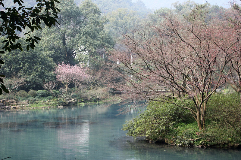 神似小九寨之九溪煙樹,杭州旅遊攻略 - 馬蜂窩