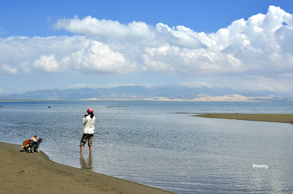 自駕青海湖沙島