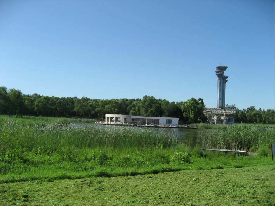 奧林匹克森林公園—夏日(2013年7月)