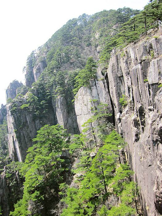 2012清明之黃山,歙縣,蘇州.,歙縣旅遊攻略 - 馬蜂窩