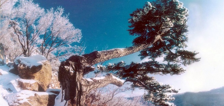 城子山风景区